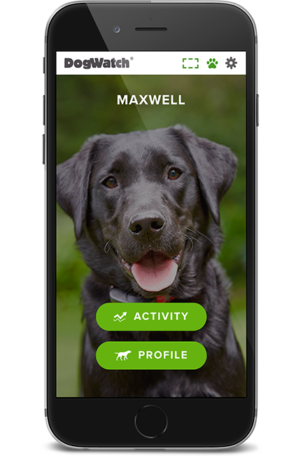 DogWatch of Central Florida, Wintergarden, Florida | SmartFence WebApp Image