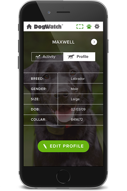 DogWatch of Central Florida, Wintergarden, Florida | SmartFence WebApp Image