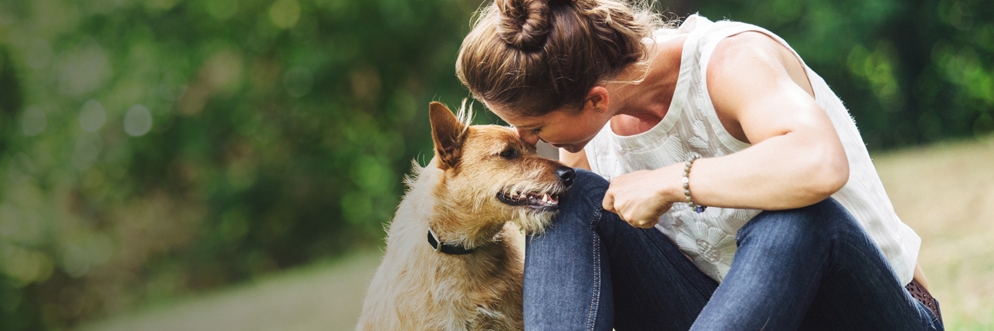 DogWatch of Central Florida, Wintergarden, Florida | BarkCollar No-Bark Trainer Slider Image