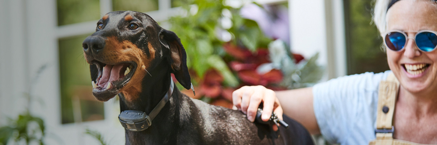 DogWatch of Central Florida, Wintergarden, Florida | Remote Dog Training Collars Slider Image